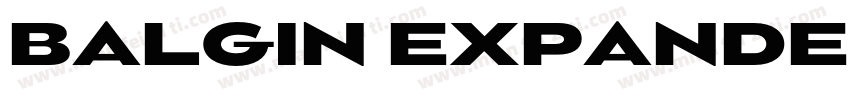 BALGIN EXPANDED字体转换